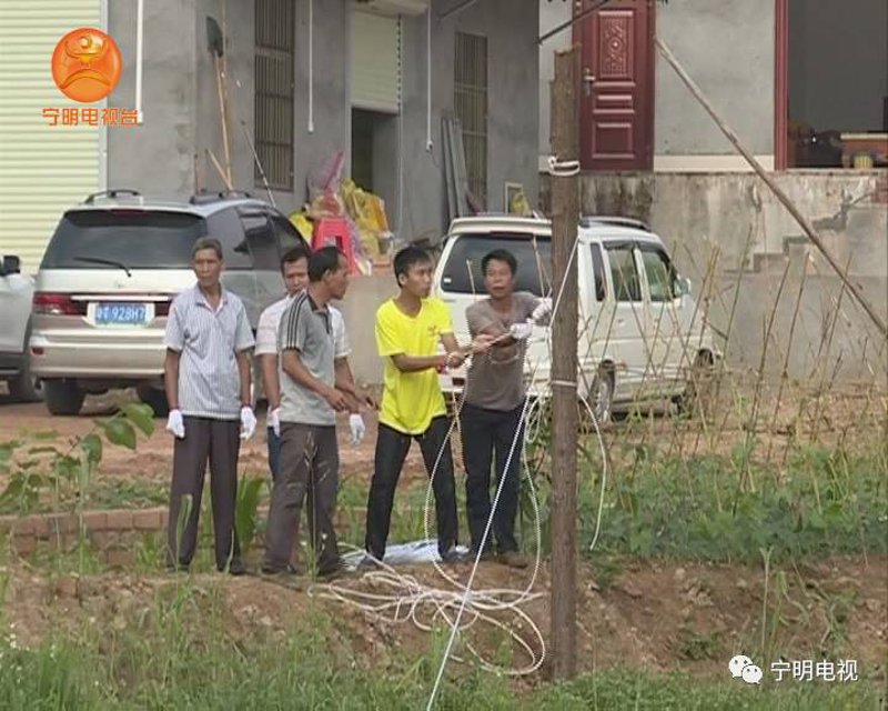 鱼苗批发产业迎来新机遇